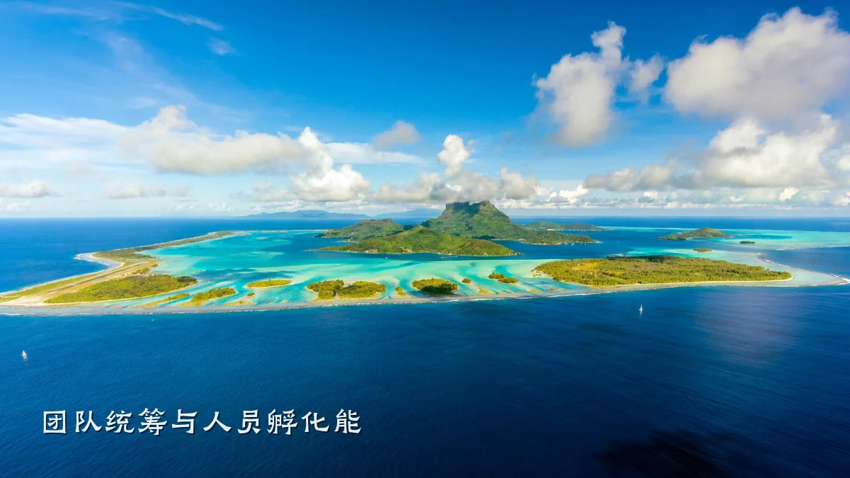 团队统筹与人员孵化能