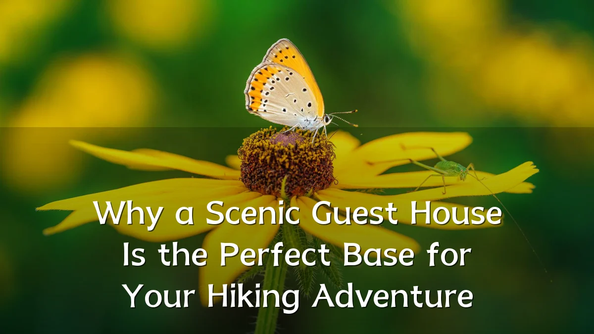 Why a Scenic Guest House Is the Perfect Base for Your Hiking Adventure