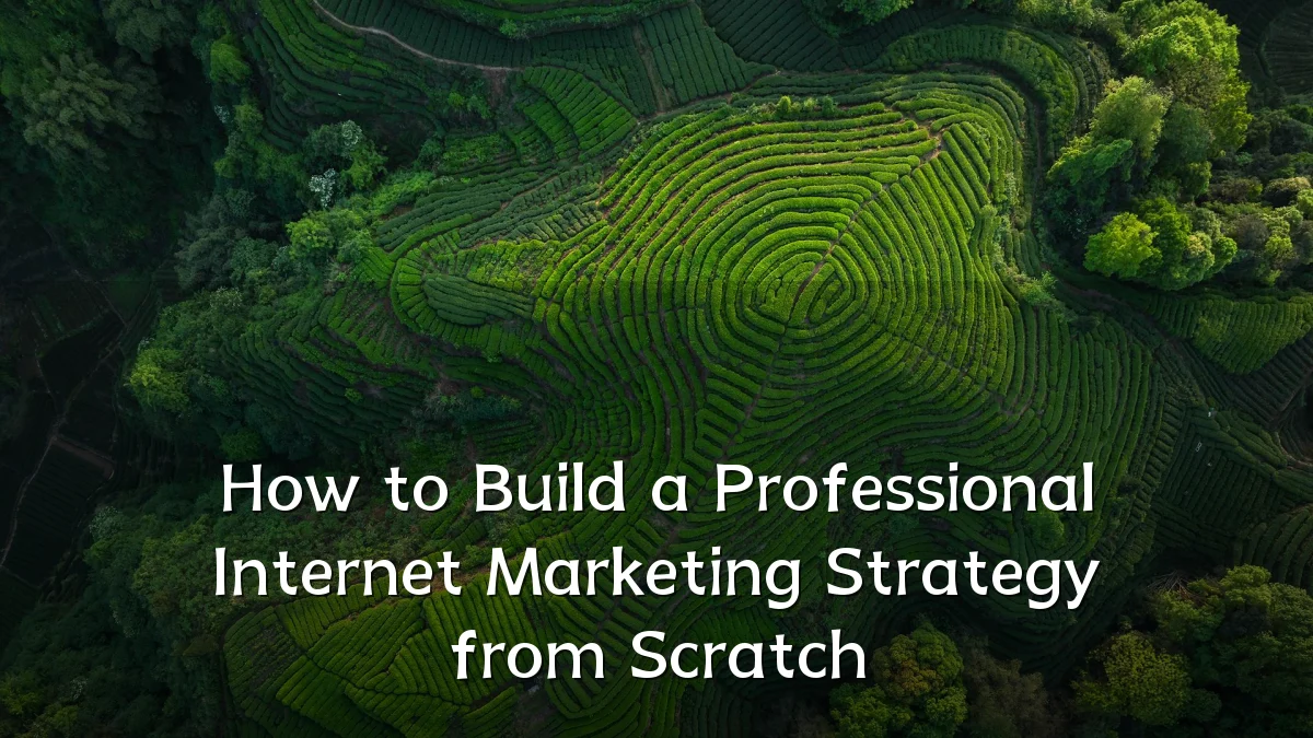 How to Build a Professional Internet Marketing Strategy from Scratch