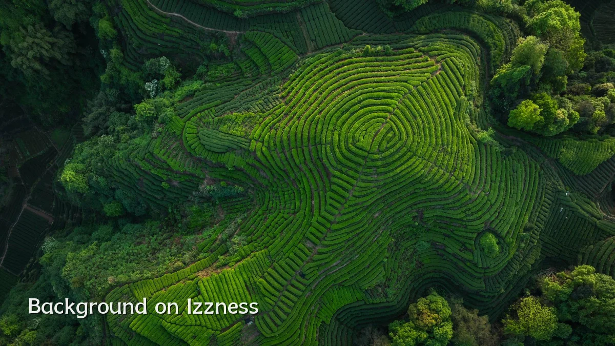 Background on Izzness