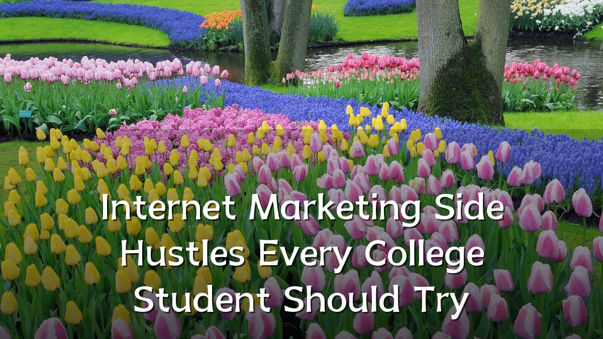 Internet Marketing Side Hustles Every College Student Should Try