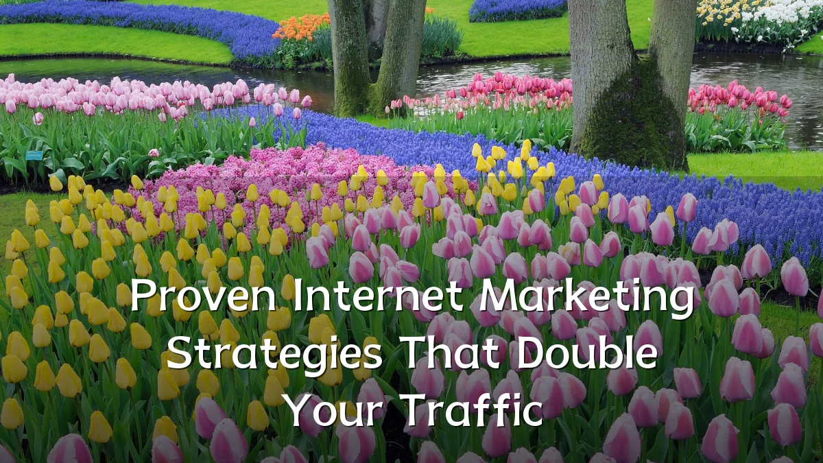 Proven Internet Marketing Strategies That Double Your Traffic