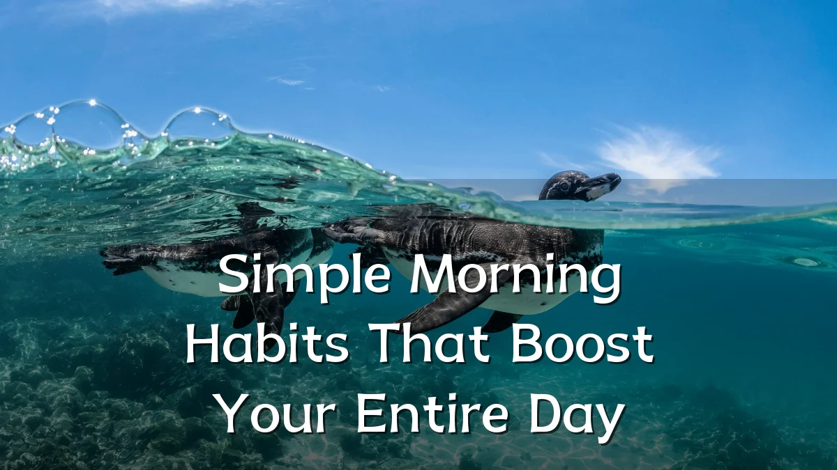 Simple Morning Habits That Boost Your Entire Day