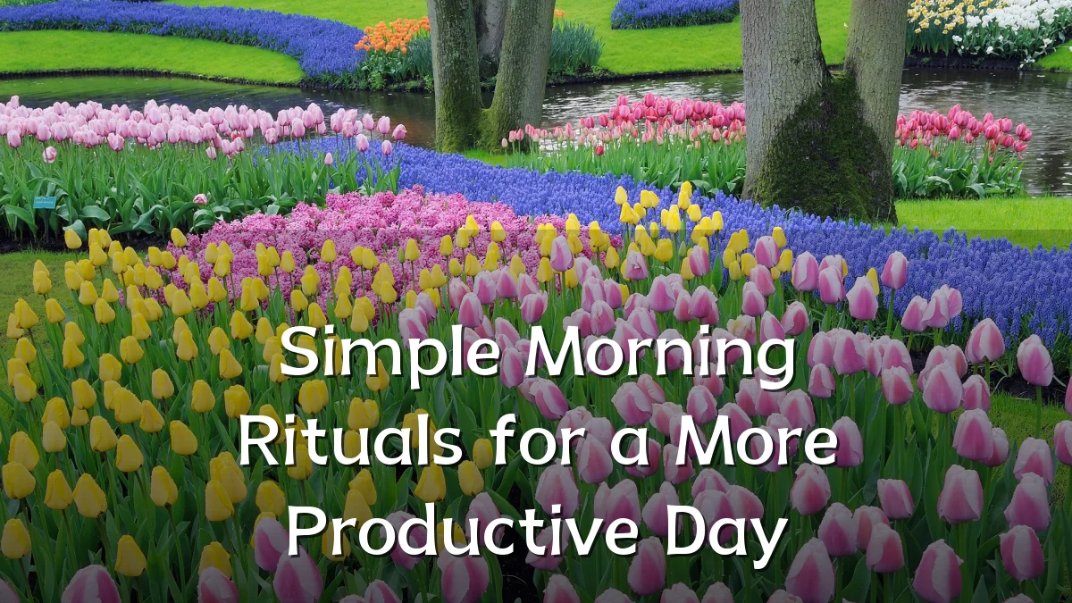 Simple Morning Rituals for a More Productive Day