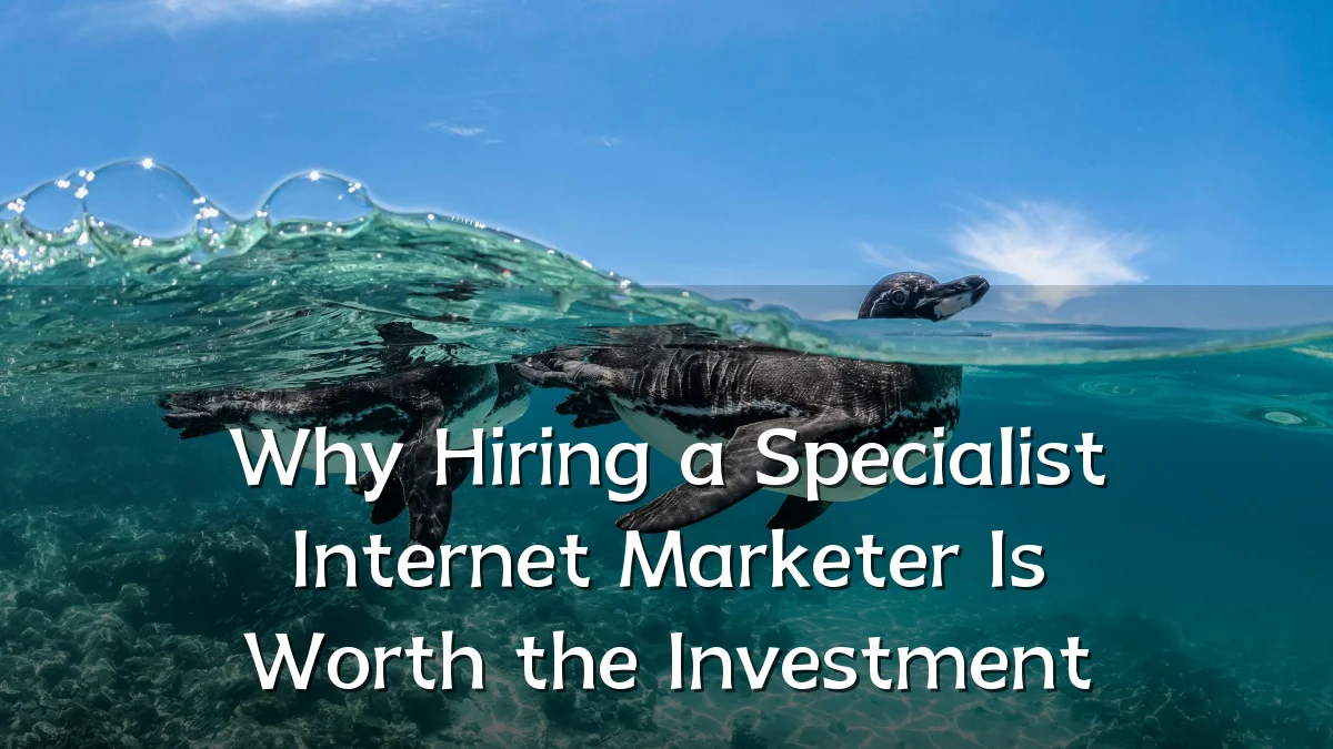 Why Hiring a Specialist Internet Marketer Is Worth the Investment