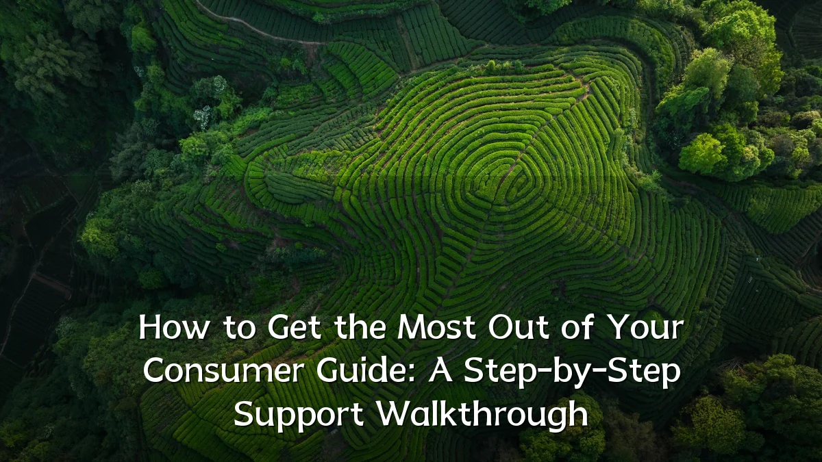 How to Get the Most Out of Your Consumer Guide: A Step-by-Step Support Walkthrough