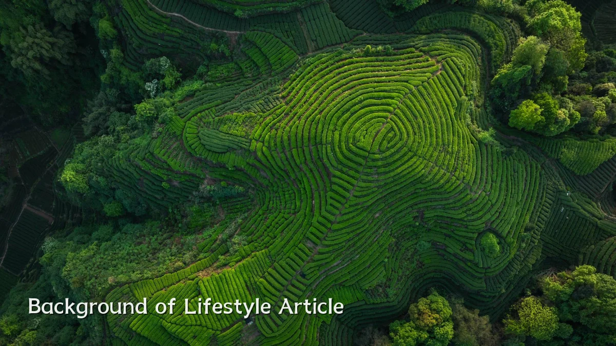 Background of Lifestyle Article
