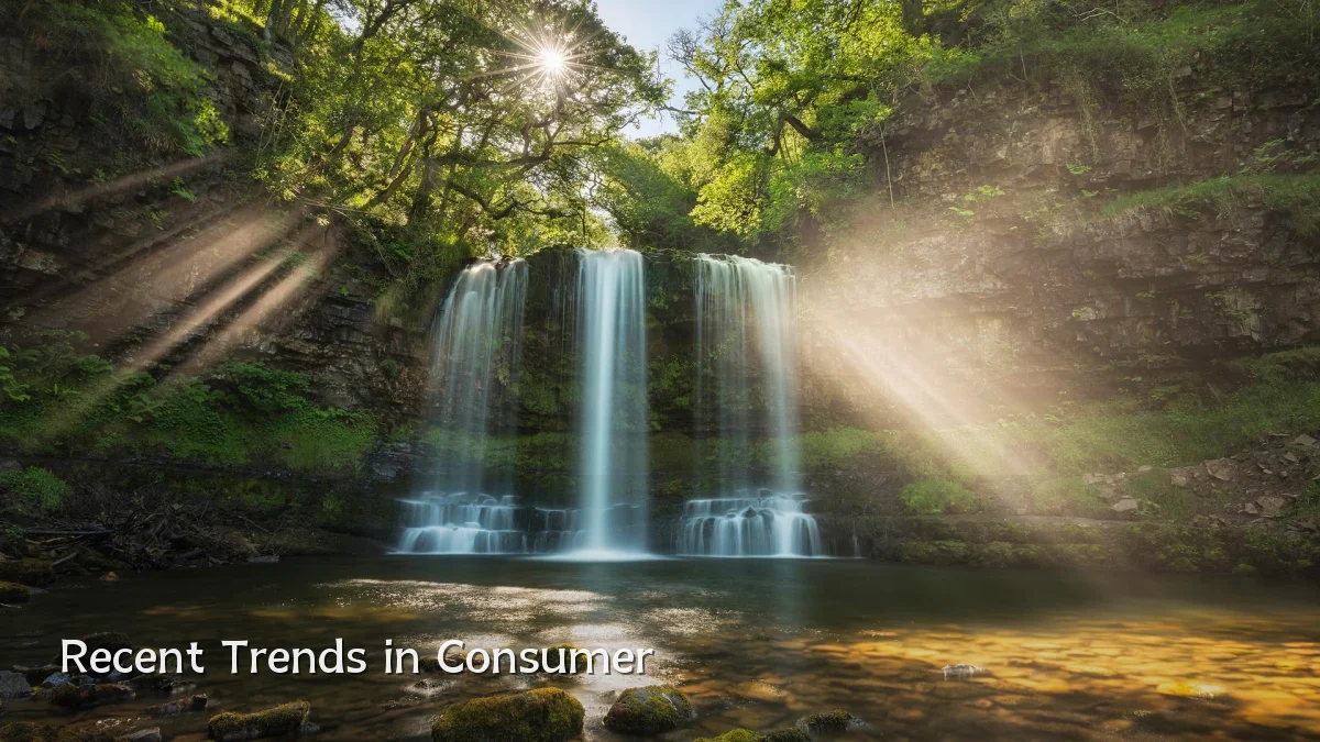 Recent Trends in Consumer