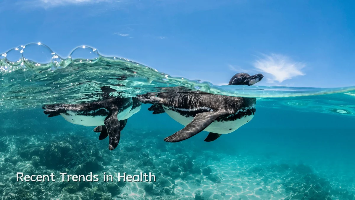 Recent Trends in Health