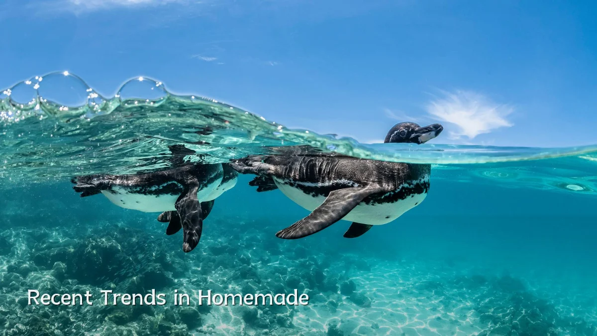 Recent Trends in Homemade