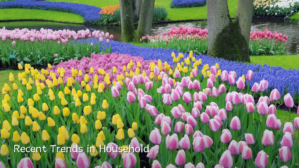 Recent Trends in Household