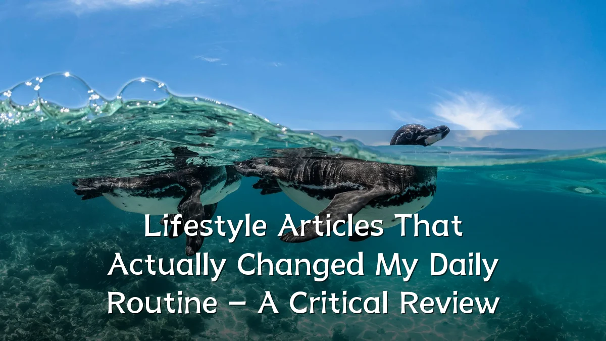 Lifestyle Articles That Actually Changed My Daily Routine – A Critical Review