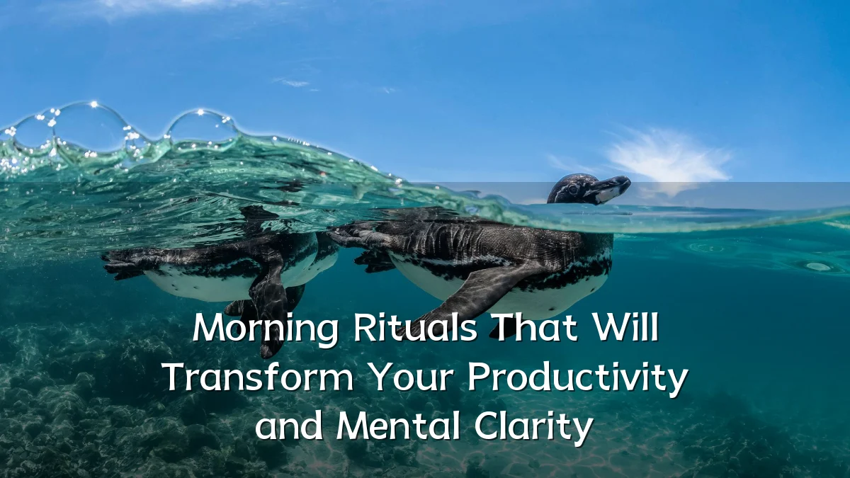 Morning Rituals That Will Transform Your Productivity and Mental Clarity