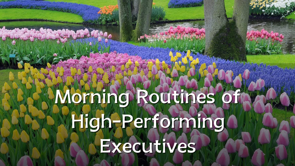 Morning Routines of High-Performing Executives