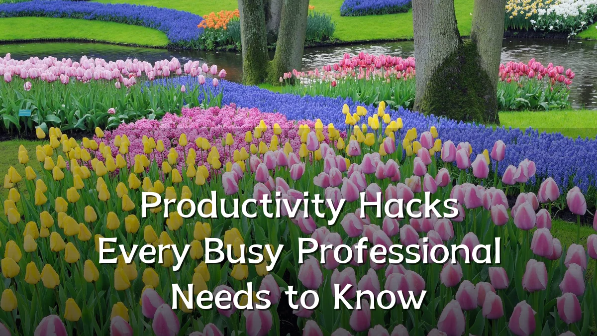 Productivity Hacks Every Busy Professional Needs to Know