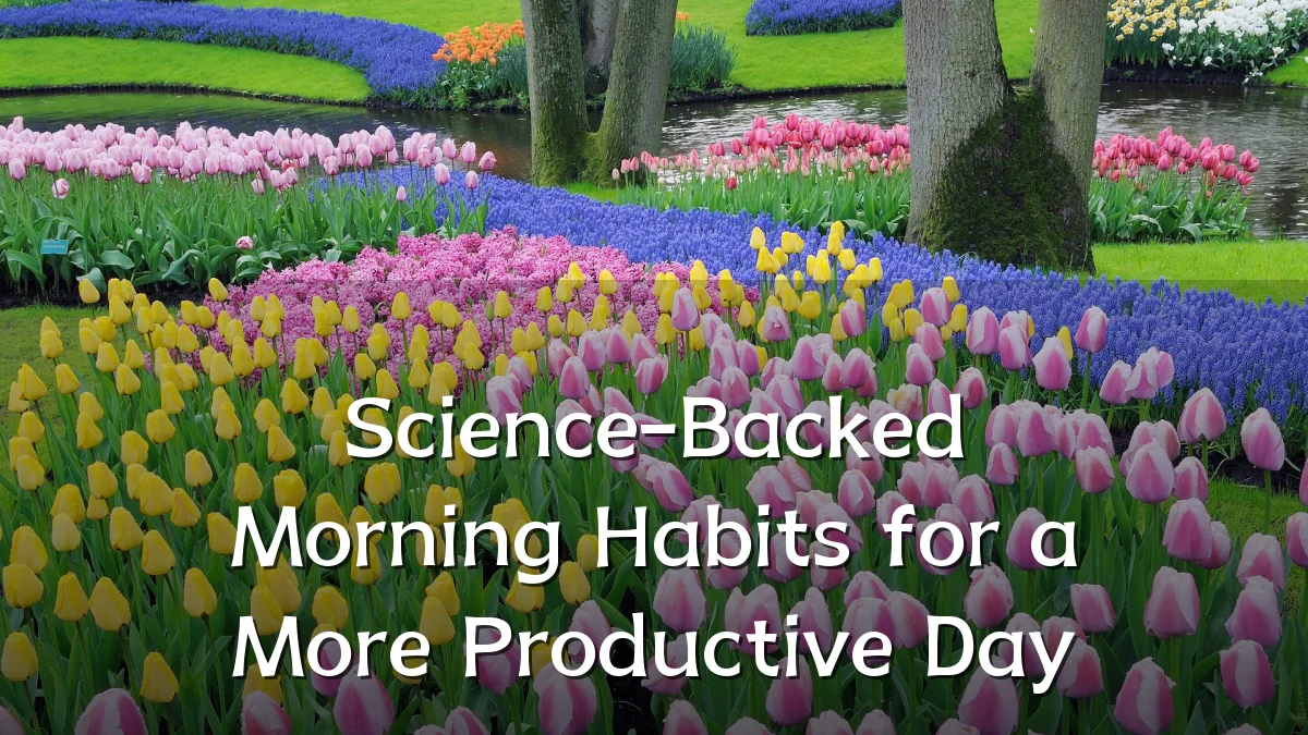 Science-Backed Morning Habits for a More Productive Day