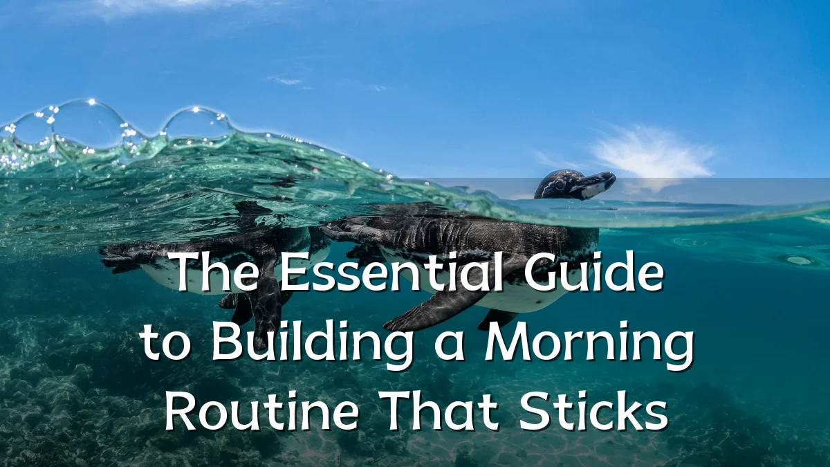 The Essential Guide to Building a Morning Routine That Sticks