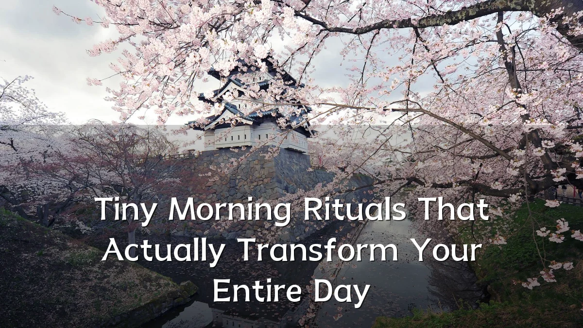 Tiny Morning Rituals That Actually Transform Your Entire Day