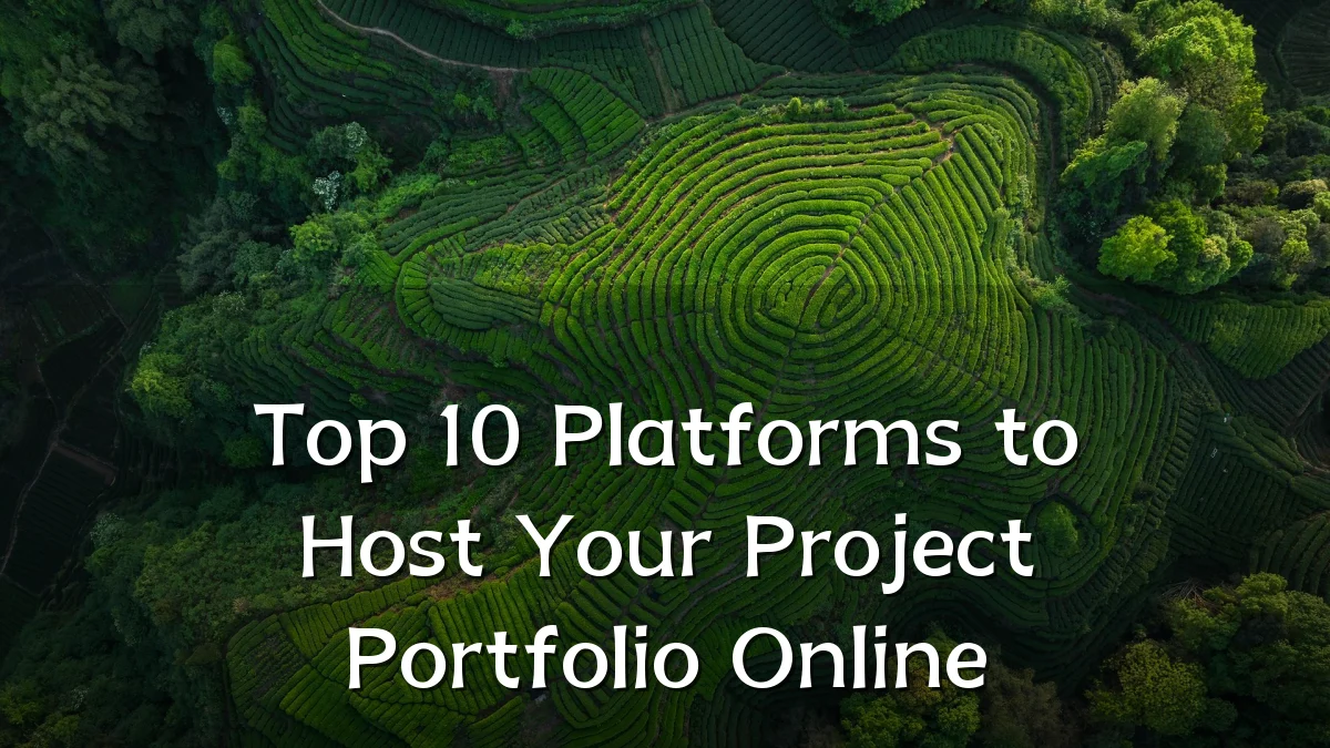 Top 10 Platforms to Host Your Project Portfolio Online