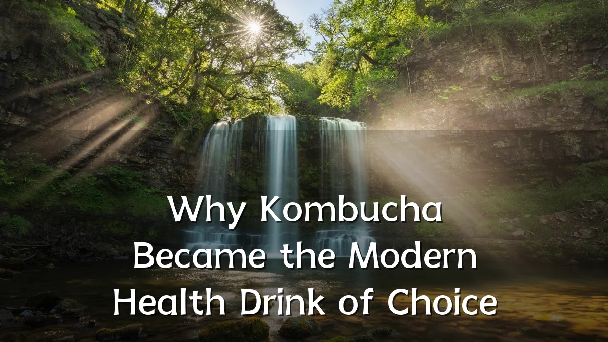 Why Kombucha Became the Modern Health Drink of Choice