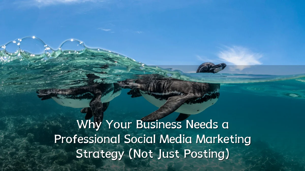 Why Your Business Needs a Professional Social Media Marketing Strategy (Not Just Posting)