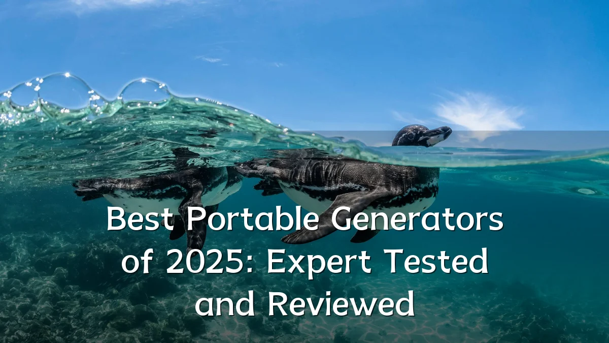 Best Portable Generators of 2025: Expert Tested and Reviewed