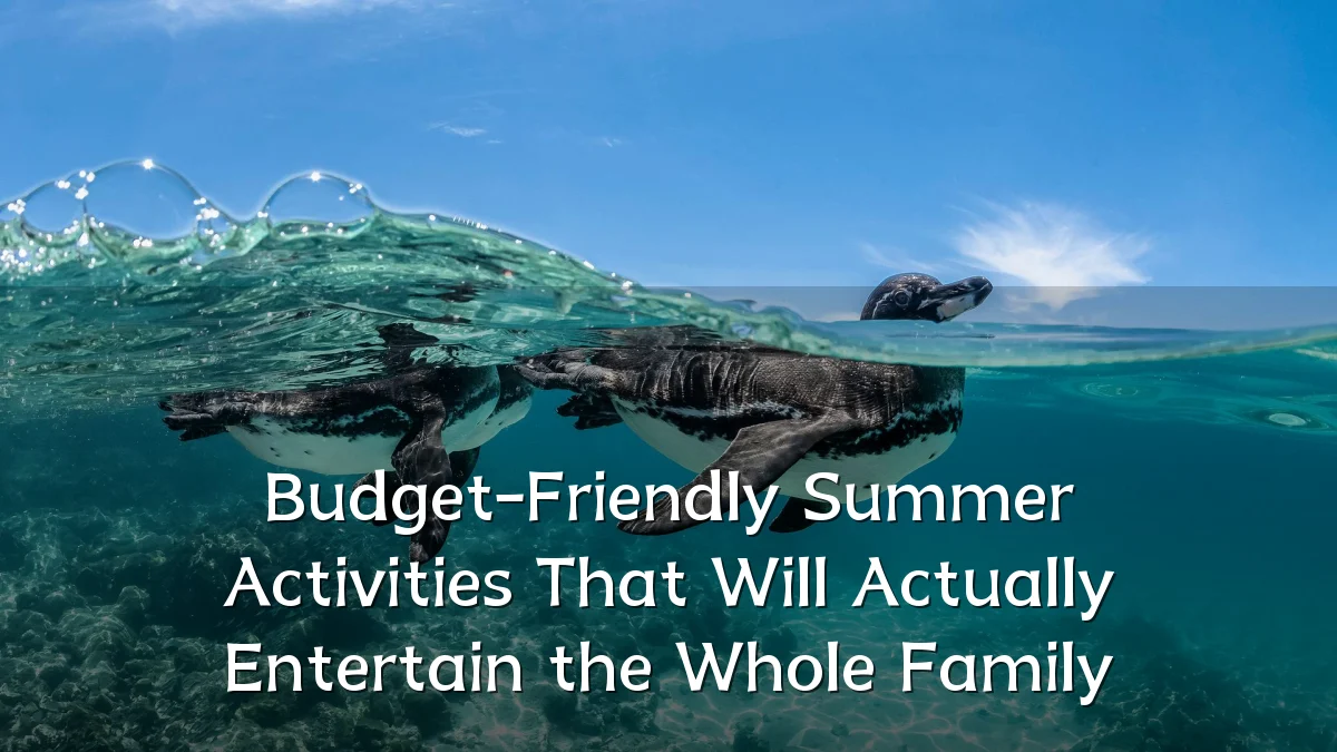 Budget-Friendly Summer Activities That Will Actually Entertain the Whole Family
