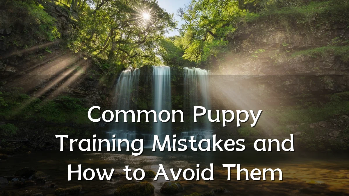 Common Puppy Training Mistakes and How to Avoid Them