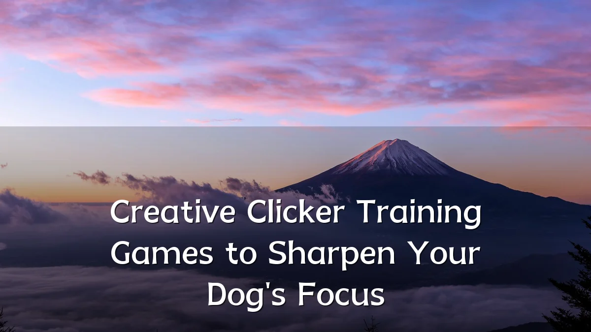 Creative Clicker Training Games to Sharpen Your Dog's Focus