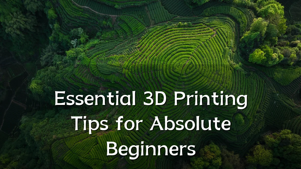 Essential 3D Printing Tips for Absolute Beginners