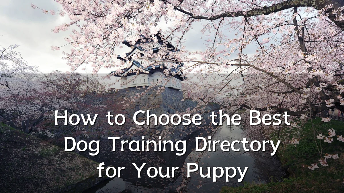 How to Choose the Best Dog Training Directory for Your Puppy