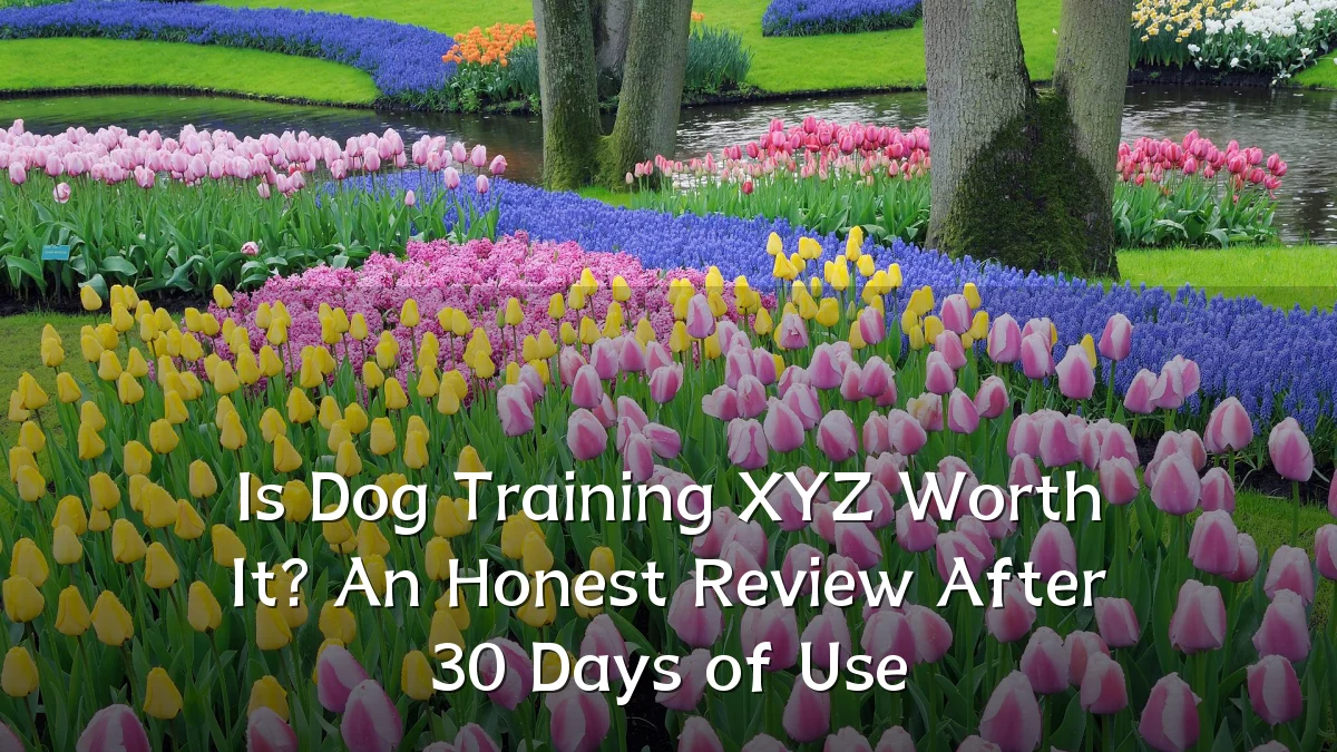 Is Dog Training XYZ Worth It? An Honest Review After 30 Days of Use