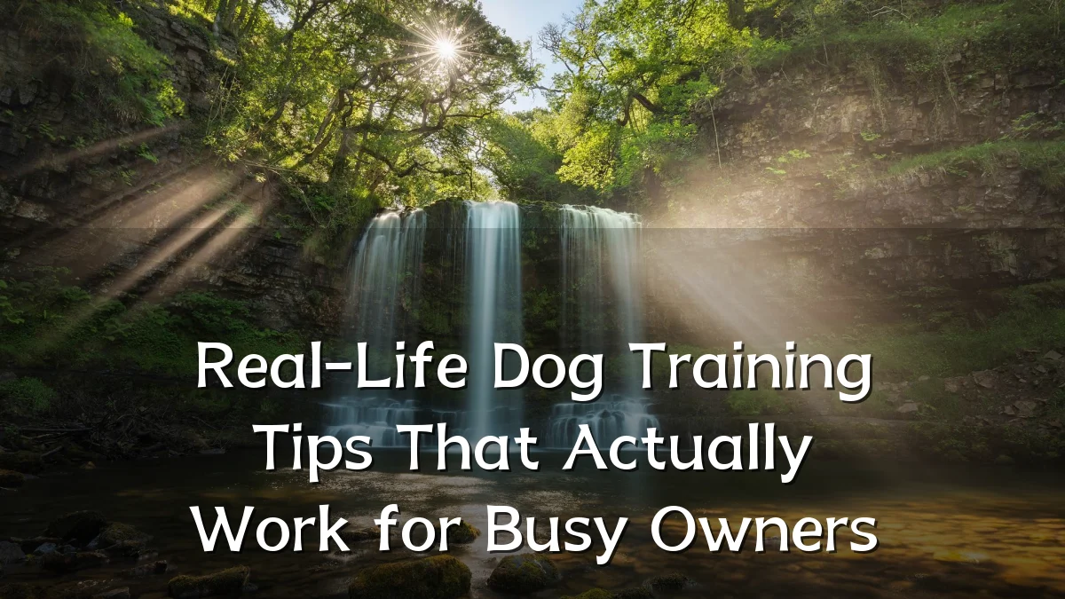 Real-Life Dog Training Tips That Actually Work for Busy Owners