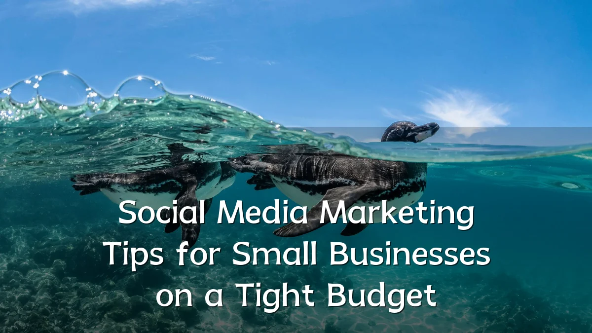 Social Media Marketing Tips for Small Businesses on a Tight Budget