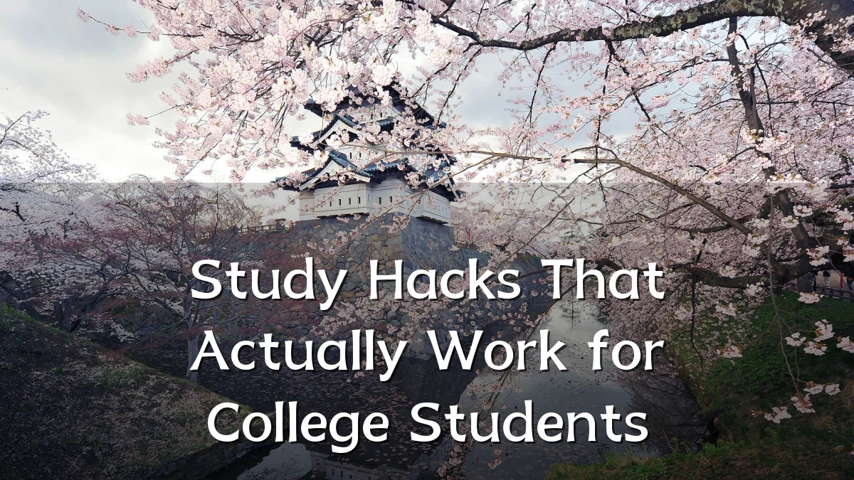 Study Hacks That Actually Work for College Students
