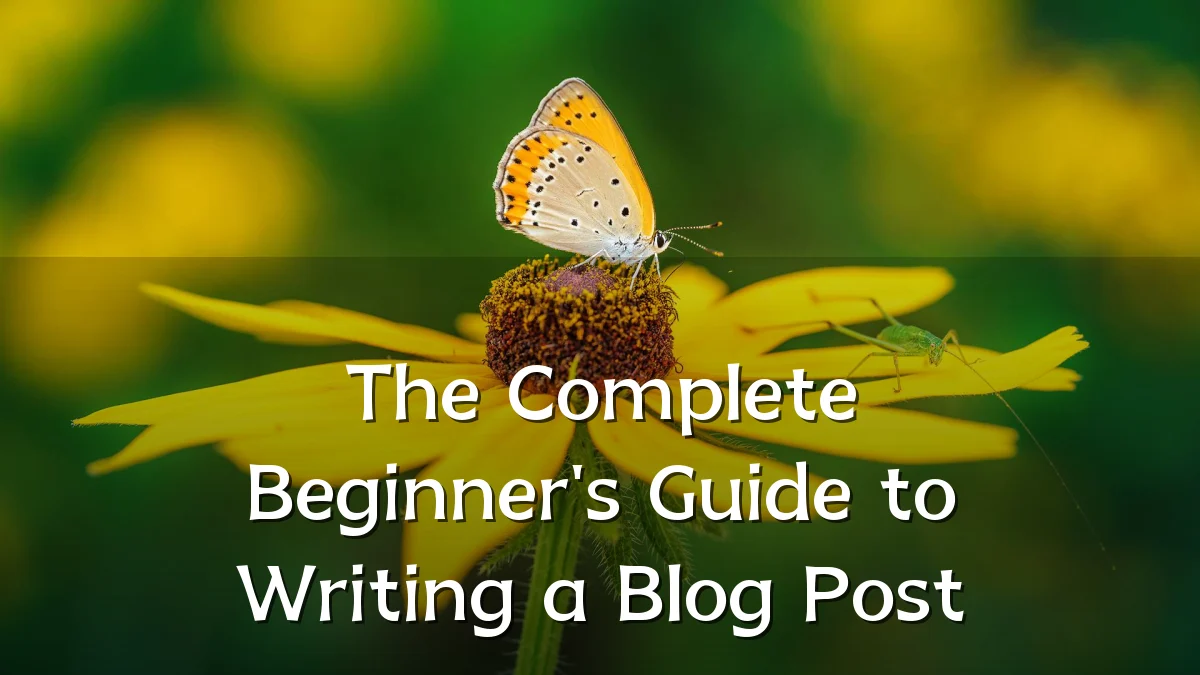 The Complete Beginner's Guide to Writing a Blog Post