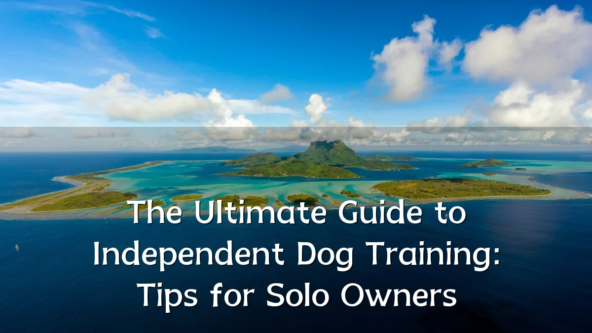 The Ultimate Guide to Independent Dog Training: Tips for Solo Owners