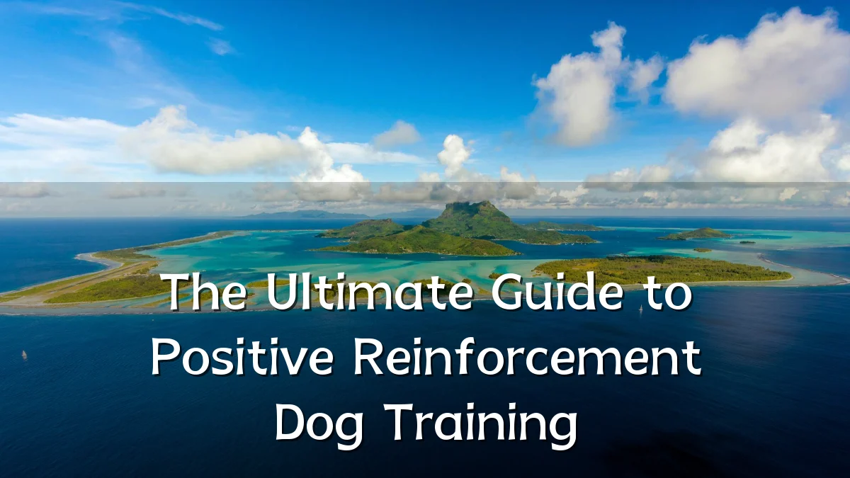 The Ultimate Guide to Positive Reinforcement Dog Training