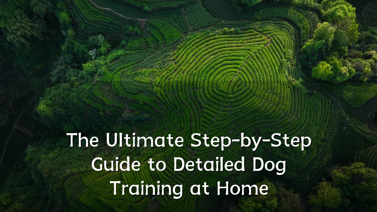The Ultimate Step-by-Step Guide to Detailed Dog Training at Home