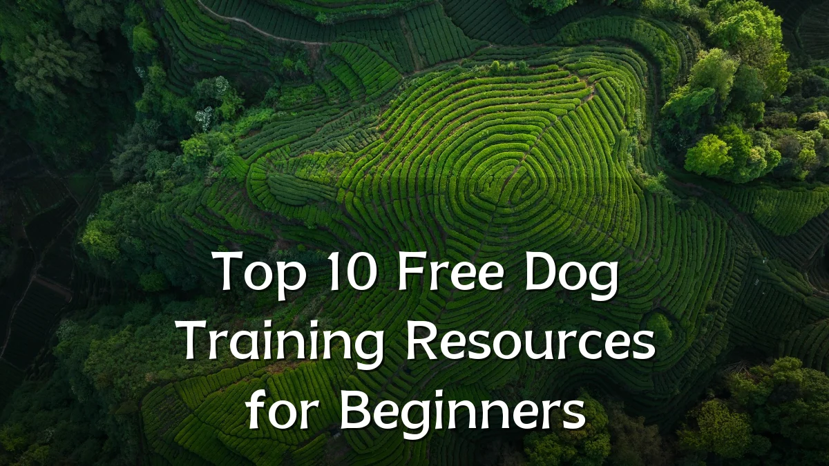 Top 10 Free Dog Training Resources for Beginners