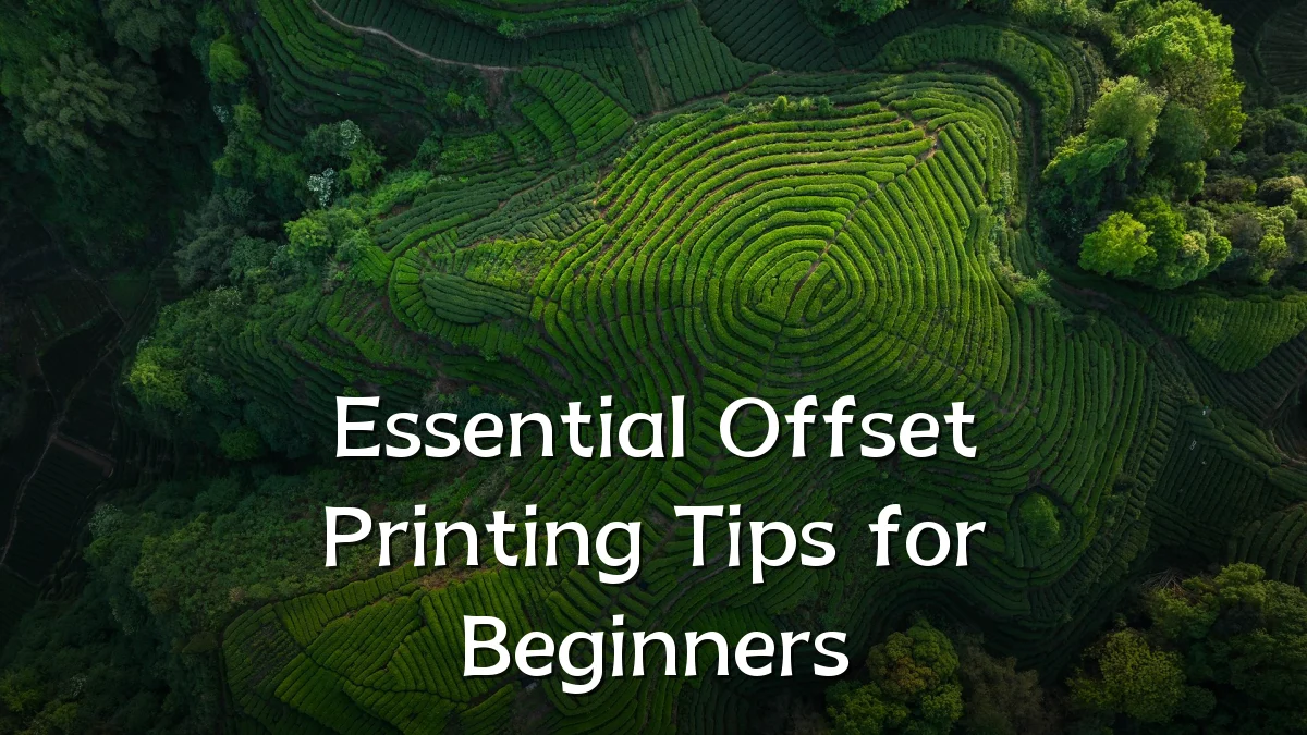 Essential Offset Printing Tips for Beginners