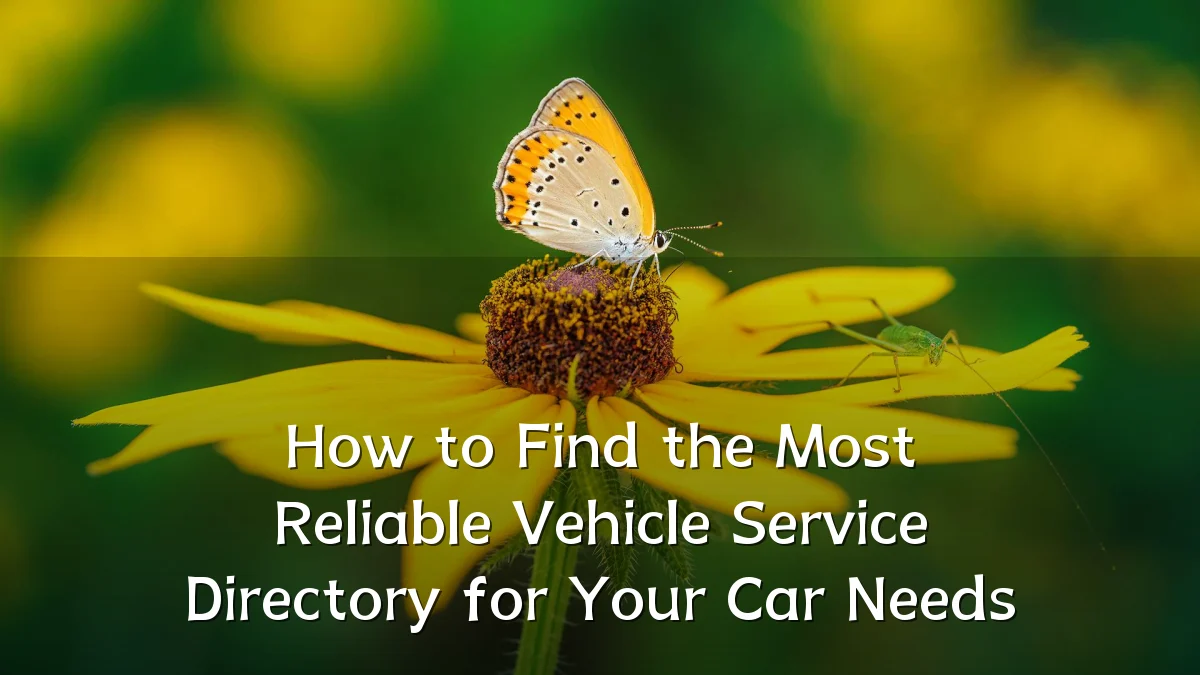 How to Find the Most Reliable Vehicle Service Directory for Your Car Needs