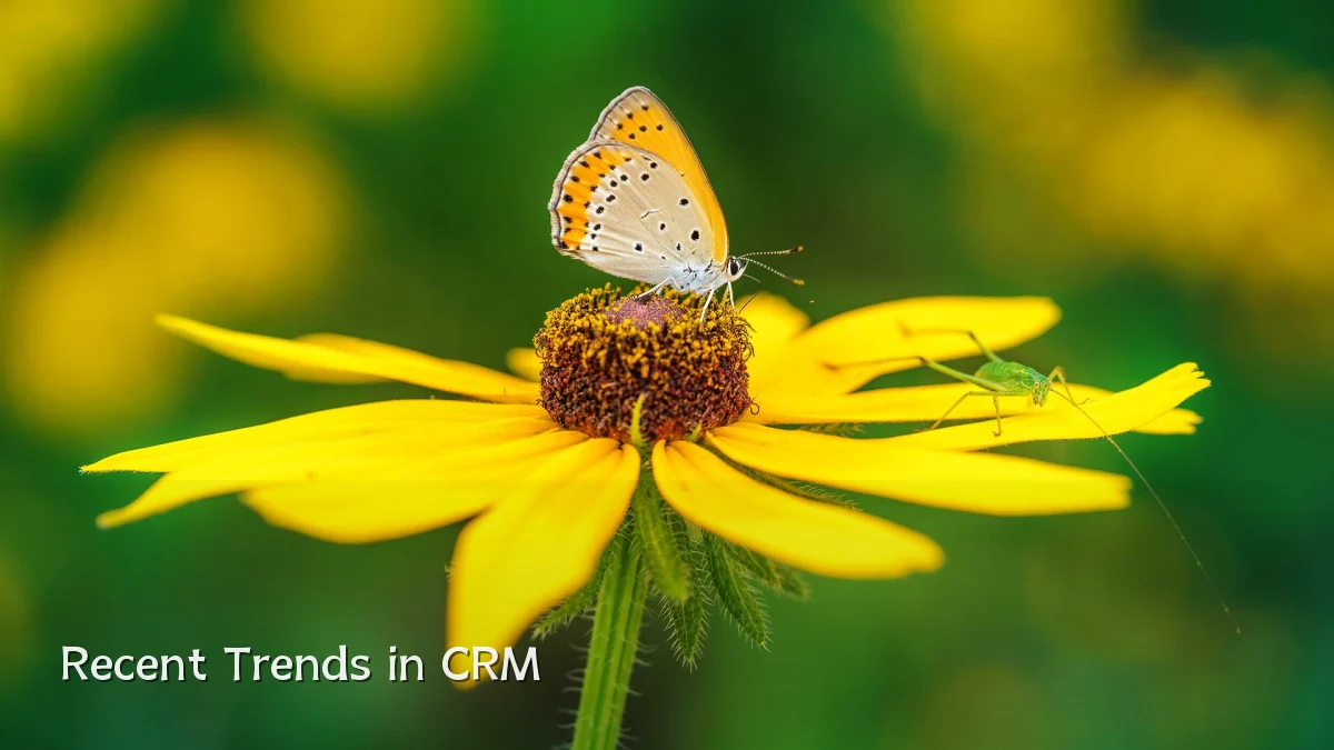 Recent Trends in CRM