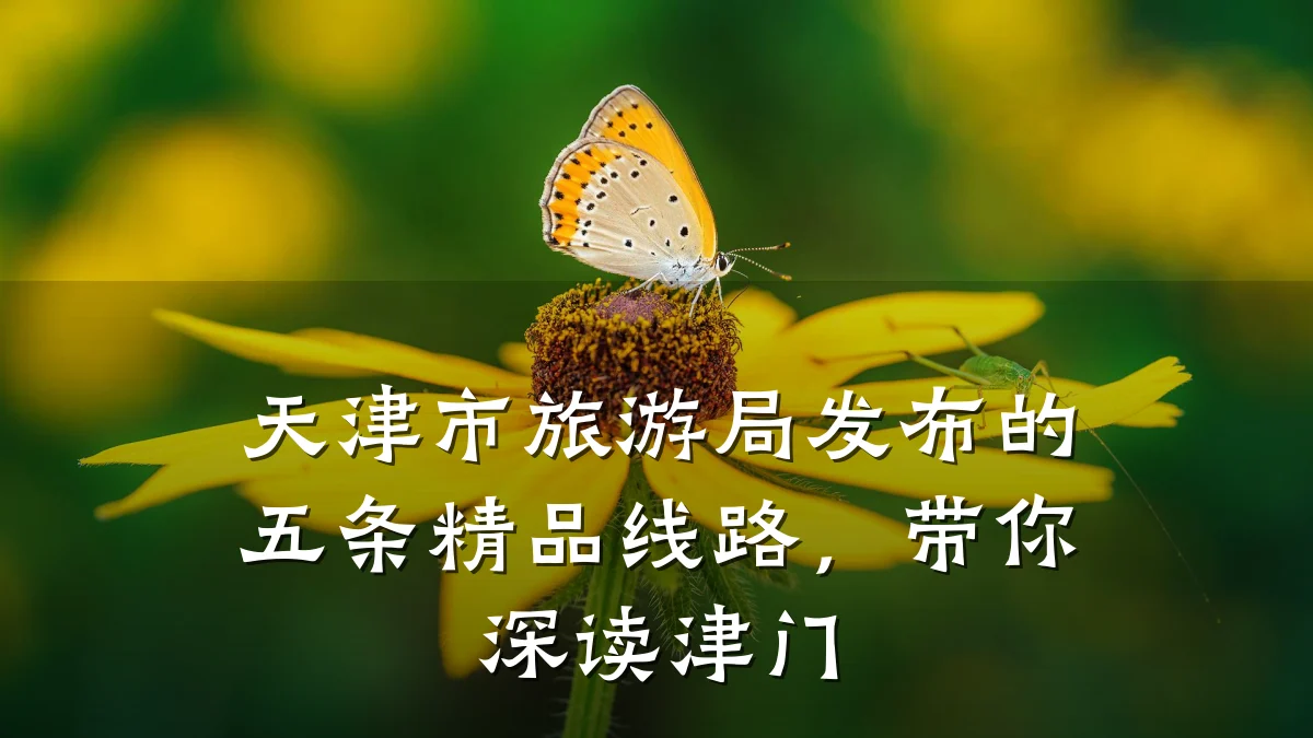 天津市旅游局发布的五条精品线路,带你深读津门