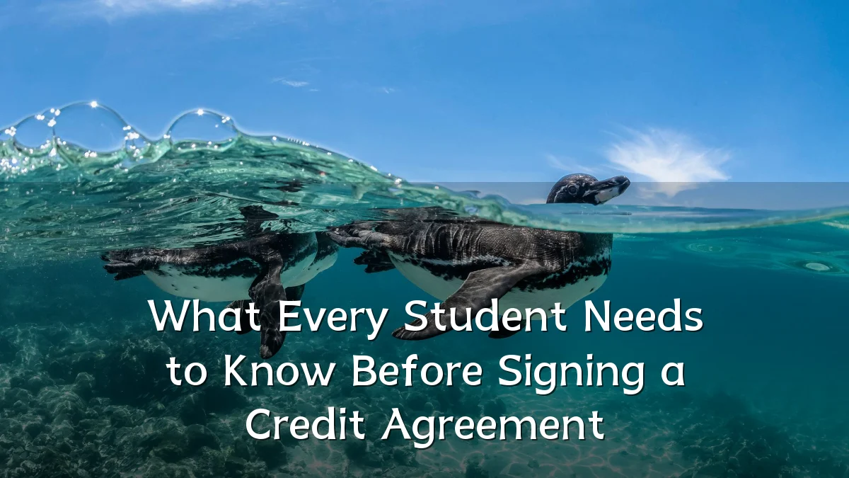 What Every Student Needs to Know Before Signing a Credit Agreement