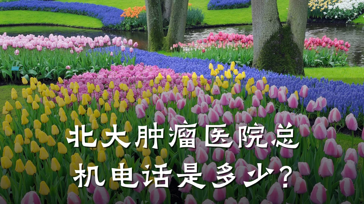 北大肿瘤医院总机电话是多少？
