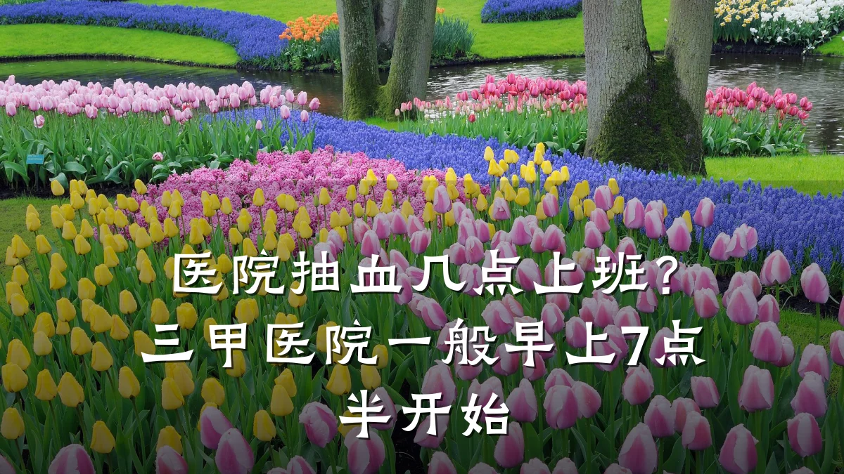 医院抽血几点上班？三甲医院一般早上7点半开始