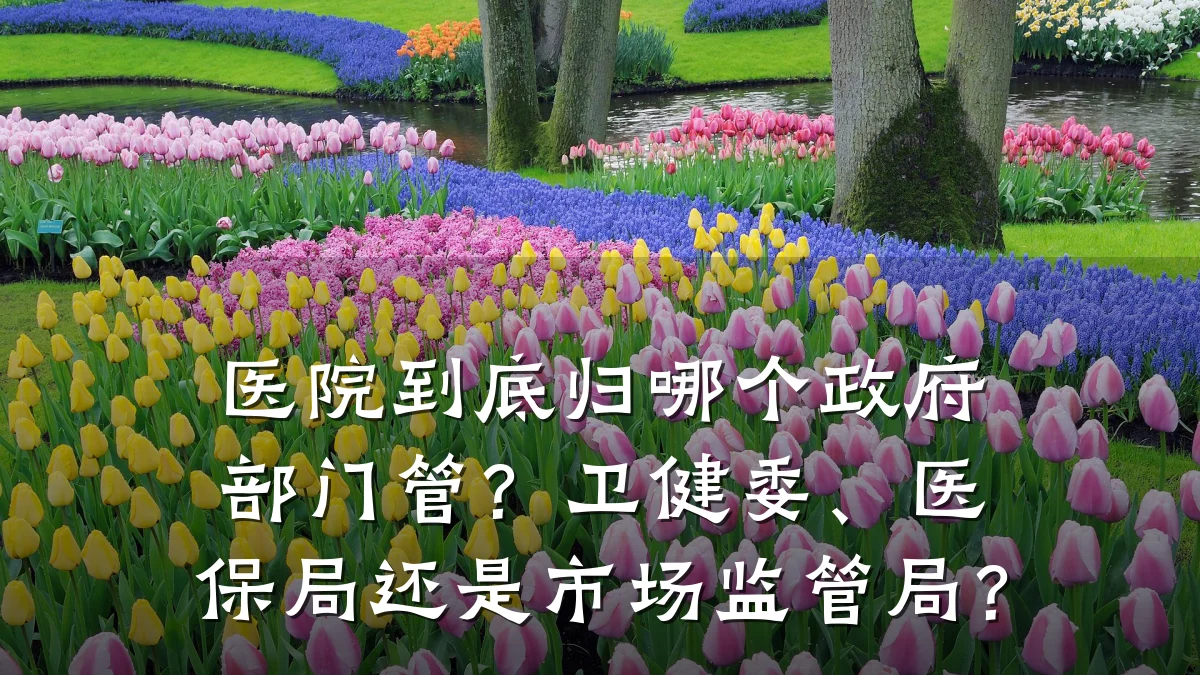 医院到底归哪个政府部门管？卫健委、医保局还是市场监管局？