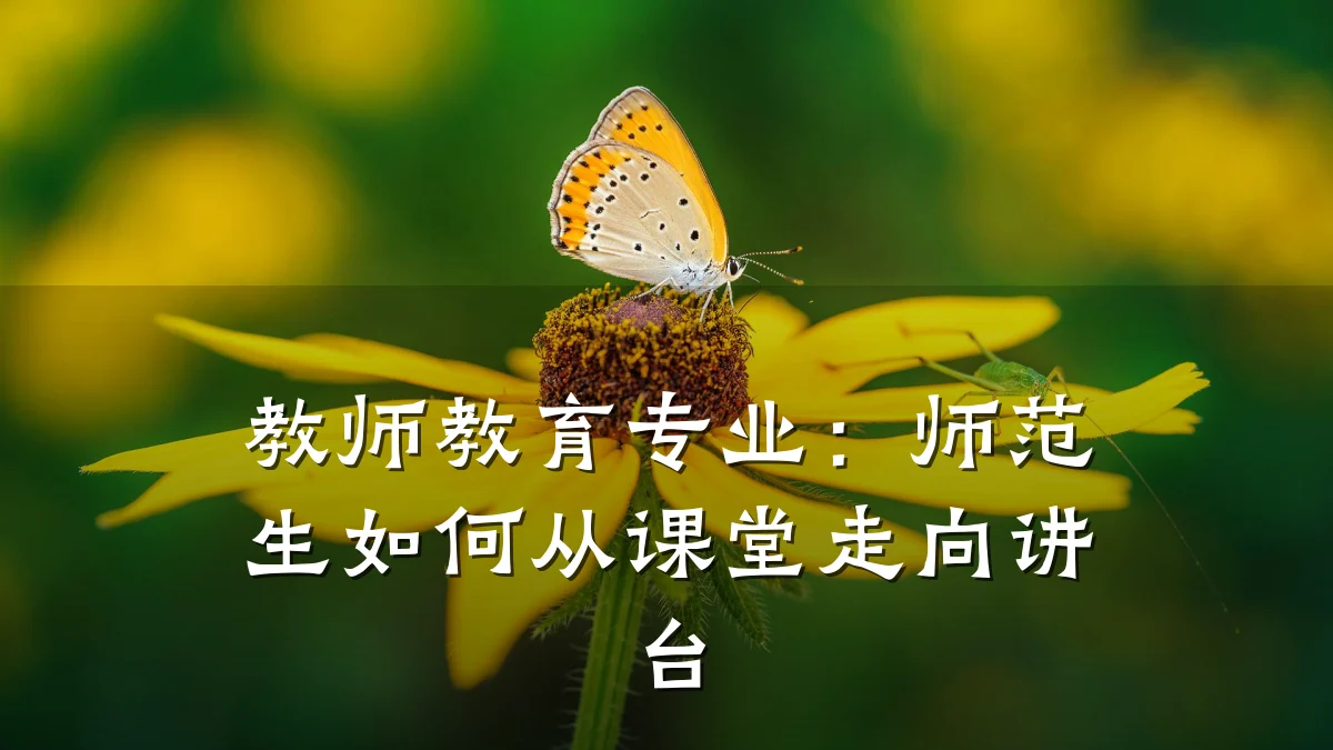 教师教育专业:师范生如何从课堂走向讲台